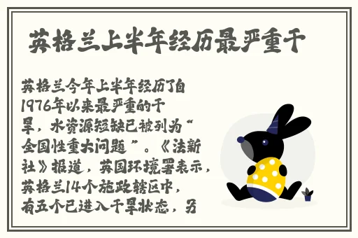 暴躁大妈荒野大镖客k9